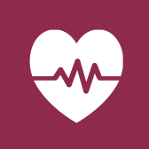 Health & Wellness Icon